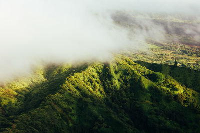 View of clouds over lush jungle mountains from helicopter on kauai, hawaii.