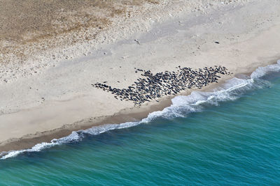 High angle view of sea waves