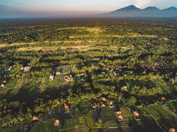 High angle view of townscape and trees on field