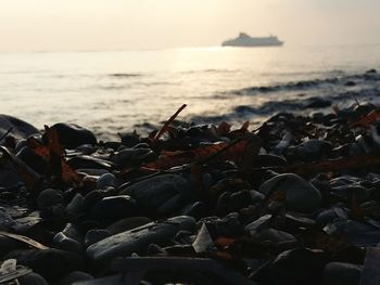 Scenic view of calm sea