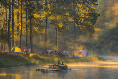 Scenic view of lake in forest during autumn