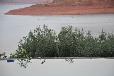 Scenic view of lake by trees during winter
