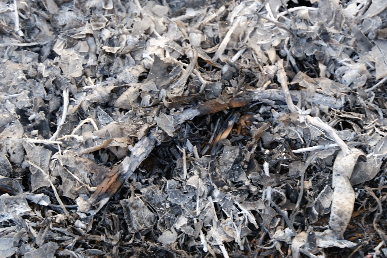 CLOSE-UP OF STACK OF FIREWOOD