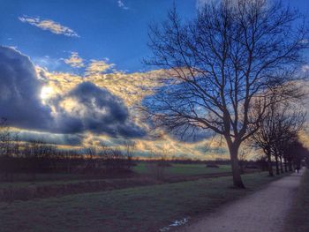 Bare trees on field against cloudy sky