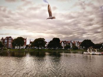 Birds flying over river against sky in city