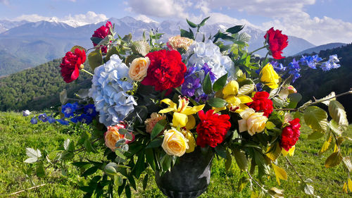 Close-up of multi colored flowers blooming on field against sky