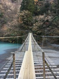 Bridge over river amidst trees