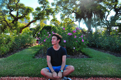 Portrait of young woman sitting on grass against trees