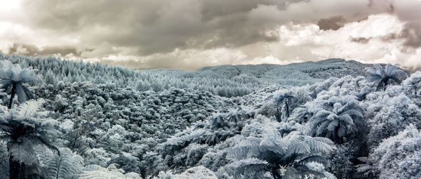 Scenic view of snow covered land against sky
