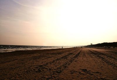 Scenic view of beach at sunset