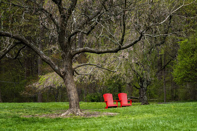 Two bright red deck chair on the lawn under the spring trees