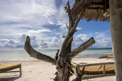 Driftwood on beach by sea against sky