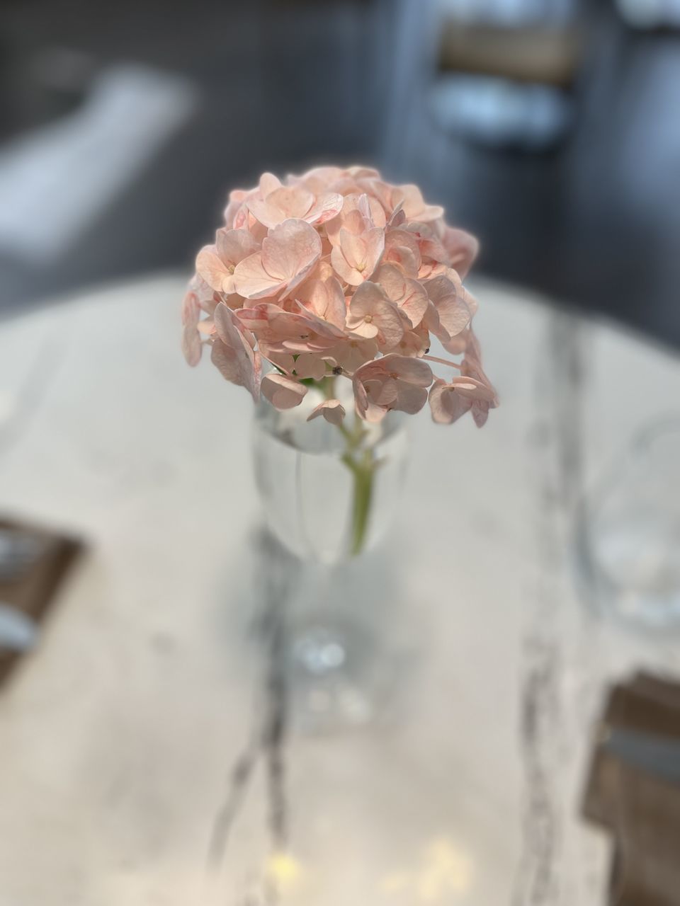 flower, flowering plant, pink, plant, beauty in nature, freshness, close-up, rose, nature, focus on foreground, no people, white, fragility, flower head, table, centrepiece, petal, indoors, selective focus, spring, day, vase, inflorescence, bouquet, still life