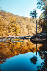 Reflection of trees in lake against clear sky