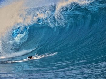 Low section of person surfing in sea