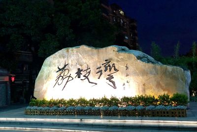 Text on wall by illuminated tree against building