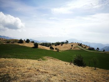 Scenic view of landscape against sky