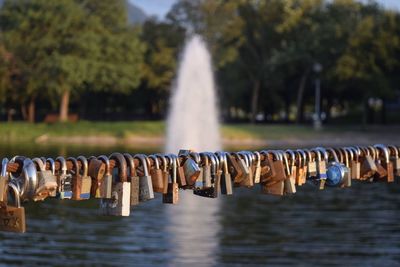 Close-up of padlocks hanging on water