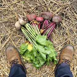 Low section of man wearing shoes on field