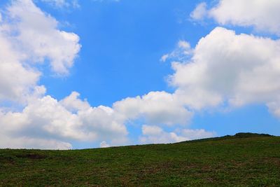 Low angle view of grassy field against sky