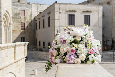 Trani, flowers of love. puglia. italy