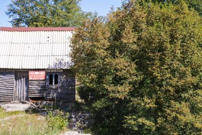 Plants growing on old building by trees against sky