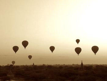 Hot air balloons flying in sky during sunset