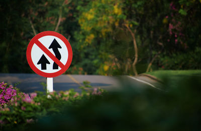 The overtaking prohibited sign on the road 