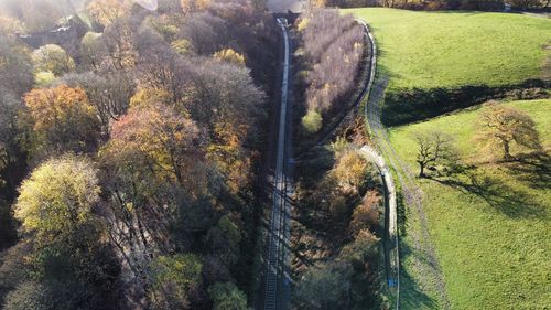 Drone image looking down onto trees and a railway line 