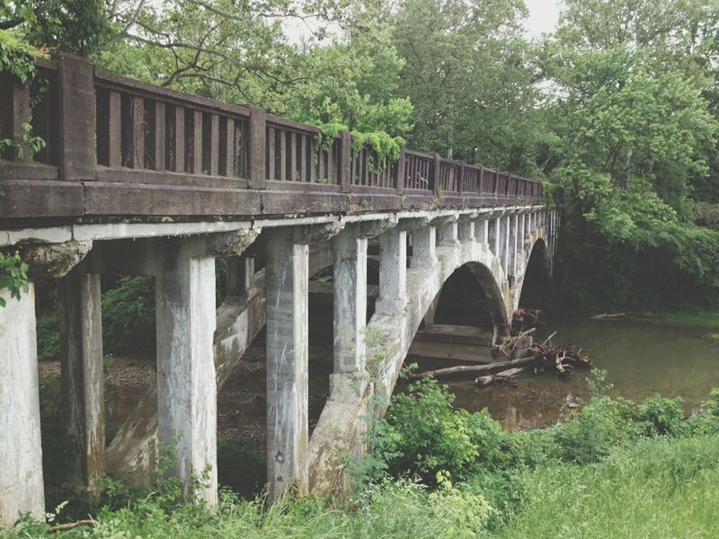 connection, architecture, built structure, bridge - man made structure, arch bridge, bridge, tree, arch, water, river, engineering, transportation, footbridge, old, day, outdoors, no people, nature, forest, plant