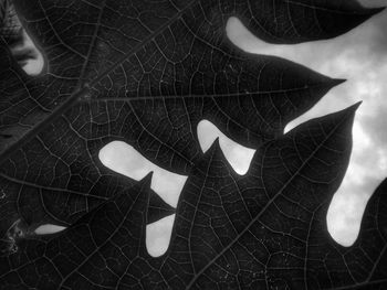 Digital composite image of hand on leaf
