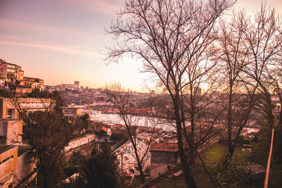 High angle view of trees and buildings against sky