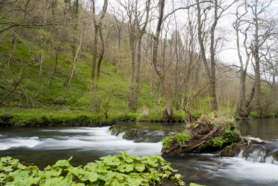 Scenic view of river flowing through rocks