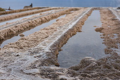 Surface level of sandy beach