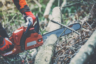 Man holding a chainsaw and cut trees. lumberjack at work gardener working outdoor in the forest.