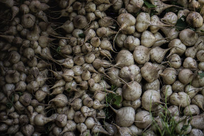 Bulk yam beans, brown, multi-fruited