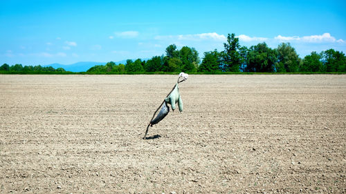 View  on field against sky