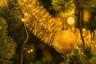 Close-up of illuminated christmas tree at night