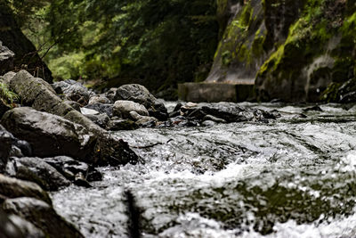 Surface level of stream flowing through rocks in forest