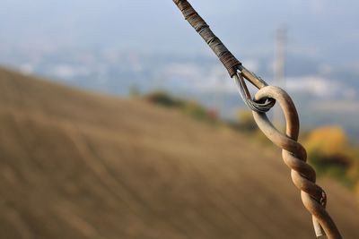 Close-up of rope