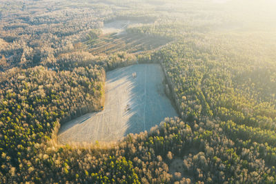 Heart shaped field in autumn from drone