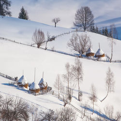 Bare trees on snowy landscape against sky