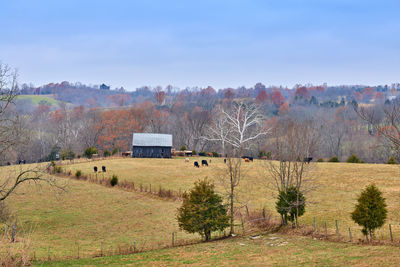 Scenic view of field against sky during autumn