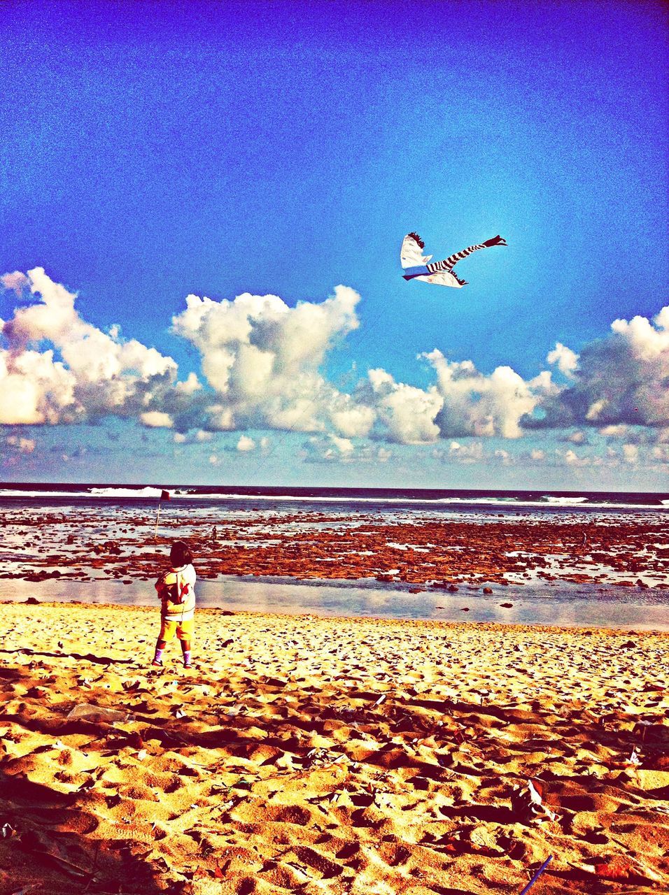 flying, sky, bird, blue, sea, transportation, scenics, nature, mid-air, water, cloud - sky, tranquil scene, beauty in nature, tranquility, cloud, mode of transport, airplane, seagull, animal themes, outdoors