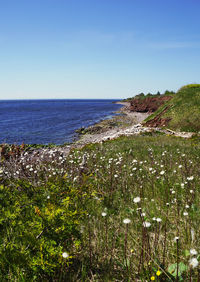 Scenic view of sea against clear blue sky