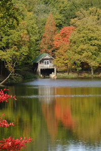 Scenic view of lake in forest during autumn