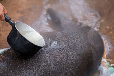 High angle view of meat on table