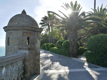 View of palm trees against sky