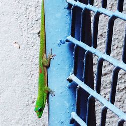 Close-up of rusty metal