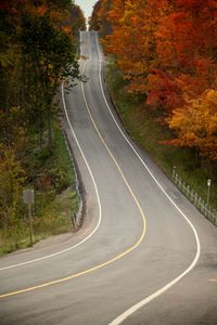 Empty road along trees during autumn